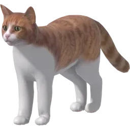 Miav