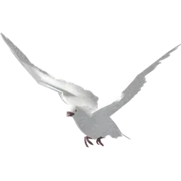 Velu